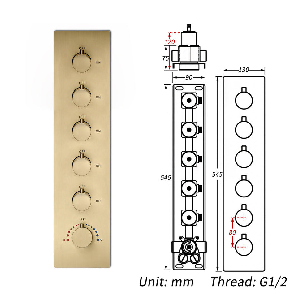 5 way thermostatic rough in valve with trim
