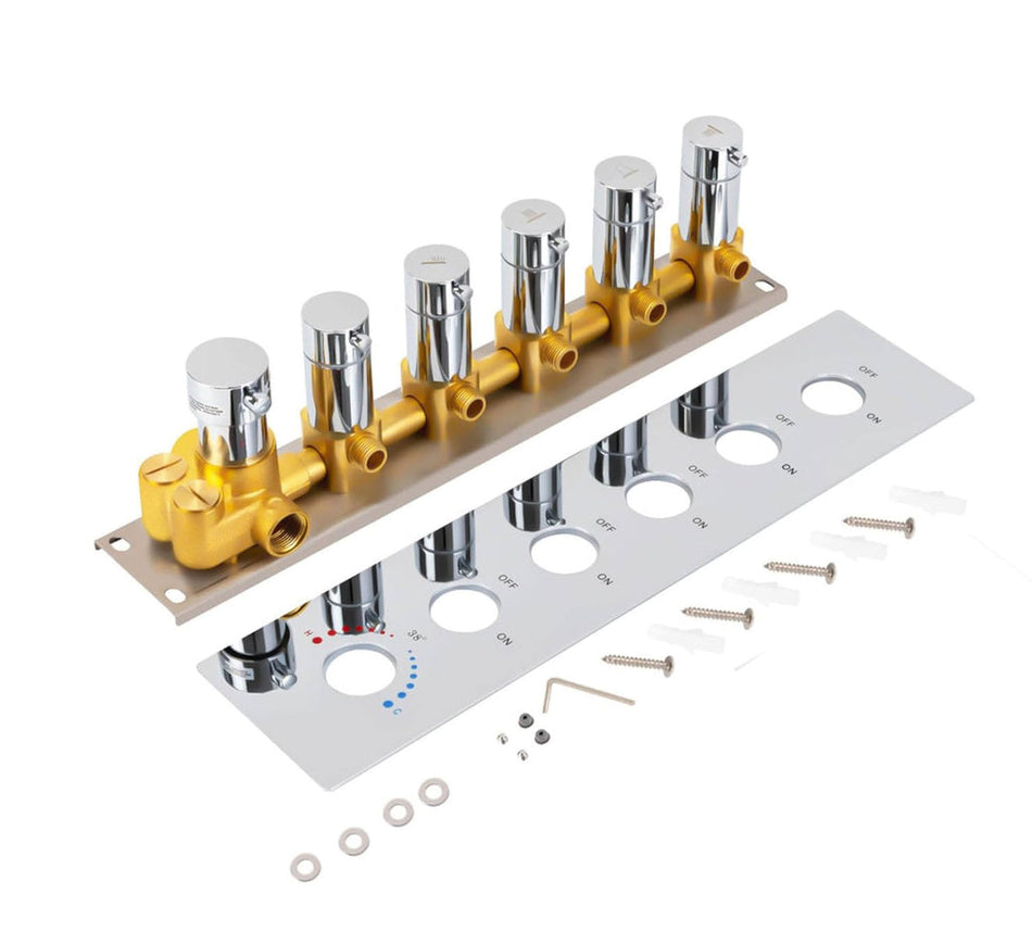 5 way thermostatic rough in valve with trim