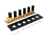 5 way thermostatic rough in valve with trim