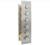 5 way thermostatic rough in valve with trim