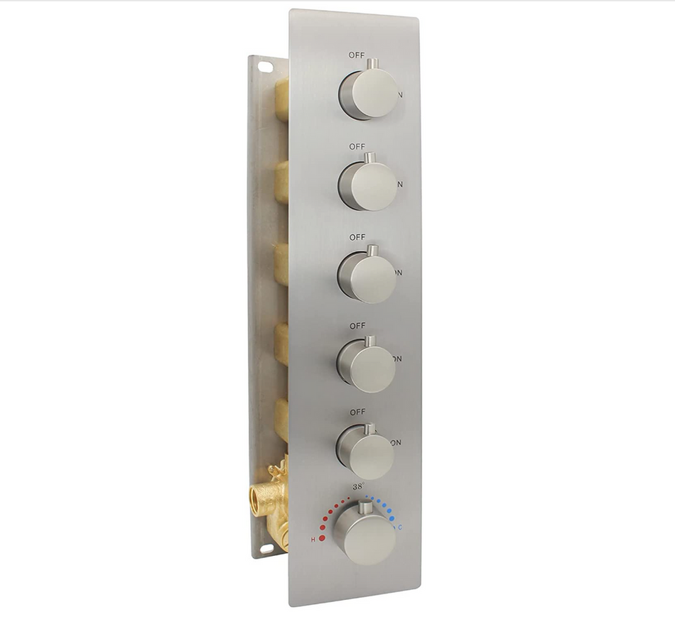 5 way thermostatic rough in valve with trim