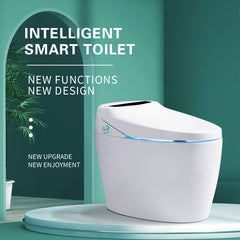 Collection image for: Smart Toilet
