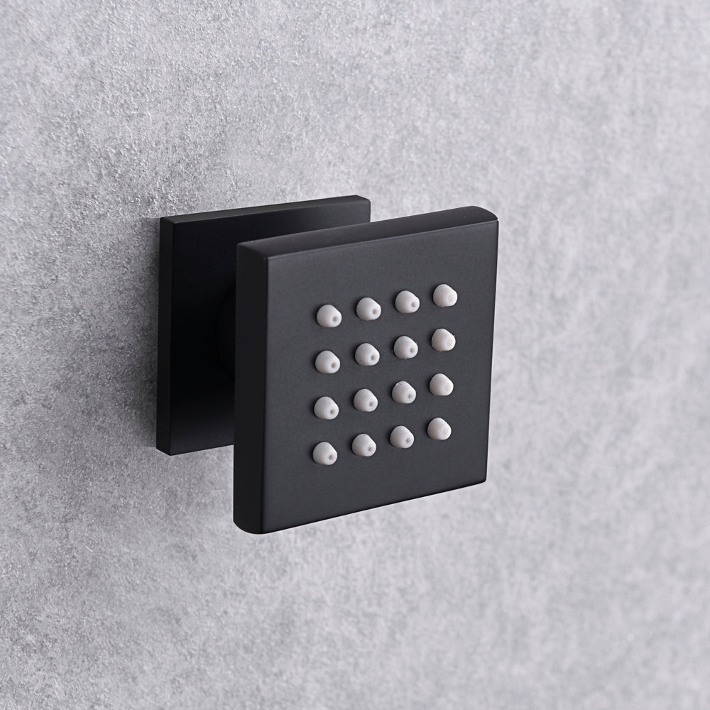 
                  
                    20'' non LED matte Black 3 way thermostatic valve that each function run at the same time and separately
                  
                
