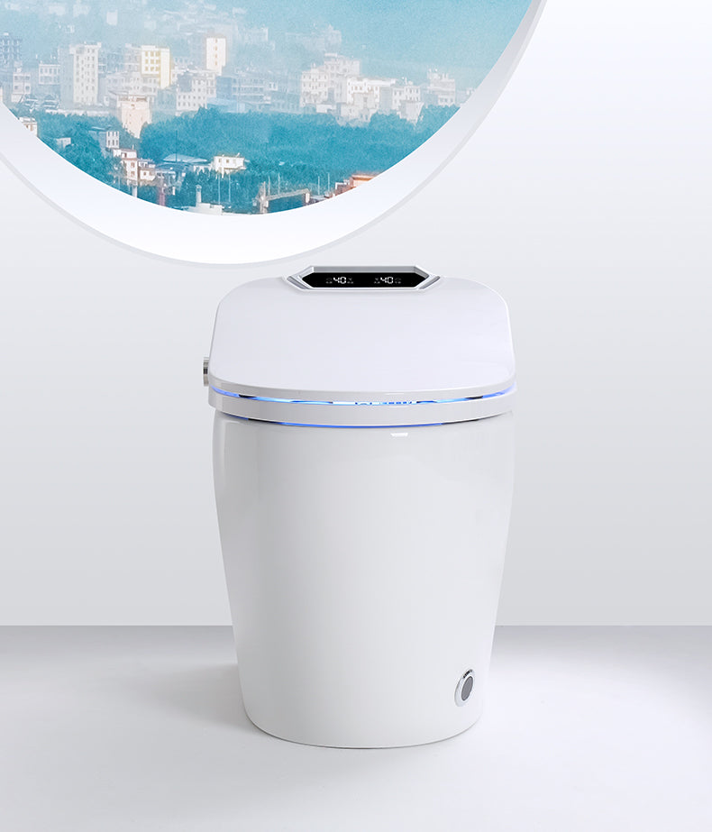 Smart Toilet Bidet Elongated Seat Unlimited Warm Water Wand Cleaning Remote Control Night Light