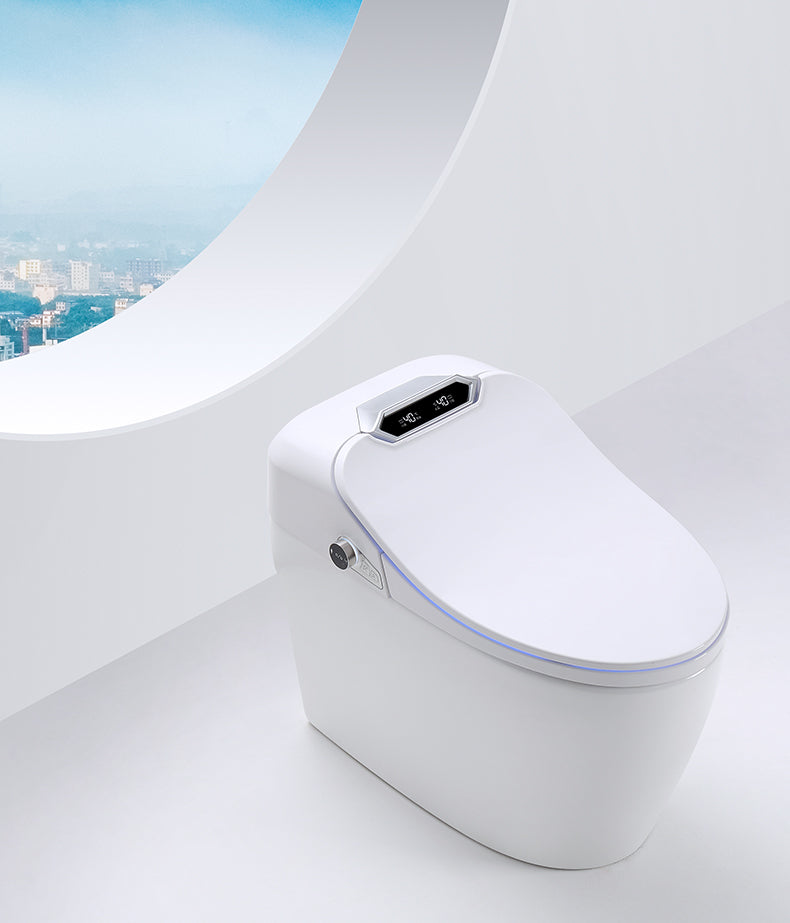 Smart Toilet Bidet Elongated Seat Unlimited Warm Water Wand Cleaning Remote Control Night Light
